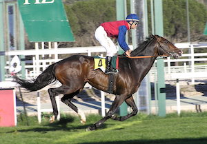 VALIANT BLUE imponiéndose en el Habitancum con Fayos en la silla.